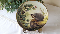 English spode hedgehog, blackberry porcelain wall plate, decorative plate