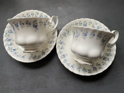 Wonderful royal albert memory lane English bone china teacup set with forget-me-nots