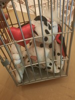 Plush toy, dog in love in a cage, I love you with a doggy heart, negotiable