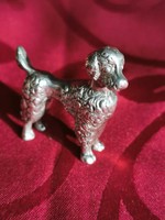 Silver miniature dog