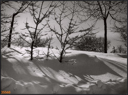 Larger size, photo art work by István Szendrő. Winter landscape, forest, still life, landscape, 1930