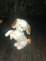 Pitizó porcelain dog