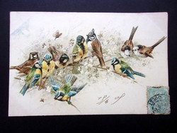 Antik madárkás dombornyomott képeslap üdvözlőlap