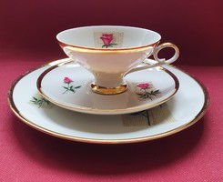 Bareuther waldsassen bavaria german porcelain breakfast coffee tea set cup saucer small plate