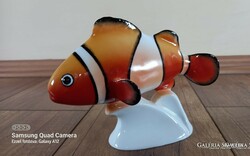 Ravenclaw porcelain fish / clown fish