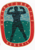 Hajdúszoboszló - az 1960-as évekből származó bőrönd címke