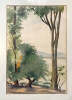 Civil marked Danube landscape Danube bank watercolor painting in original black wooden frame