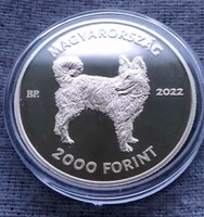 Mudi coin (2022; HUF 2000)