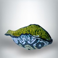 Gorka géza: fish serving dish