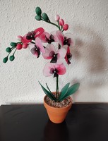 Harisnya virág