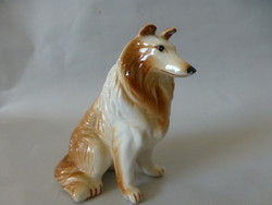 German porcelain dog, Scottish shepherd, collie