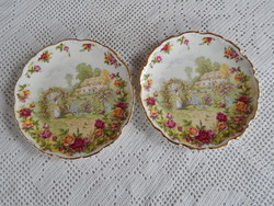 Royal albert collector's plate