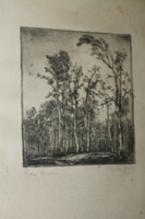 Antique signed etching 428