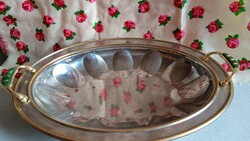 Silver colored metal serving bowl with golden frame