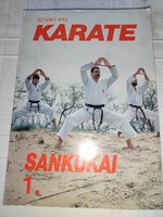 Szabó pál karate - sankukai 1.