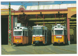Trams in car color - top card postcard
