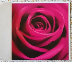 Képeslap borítékkal üdvözlőlap üdvözlőkártya levelezőlap postatiszta virág mintával rózsa