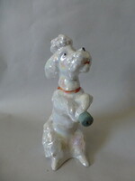 German porcelain dog, poodle