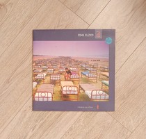 Pink floyd, a momentary lapse of reason vinyl record