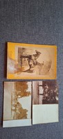 Old equestrian postcard