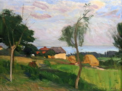 Nagy Gyula: Balaton landscape