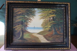 Forest path to the sea landscape