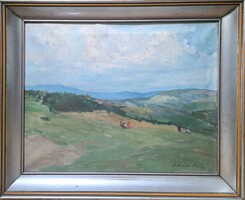 Zórád gauze landscape (oil, canvas) in a frame - a trip in nature