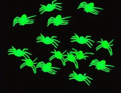 10 pcs. A phosphorescent spider in one
