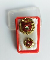 Socialist brigade award, badge