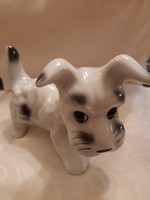 Cute spotted porcelain dog