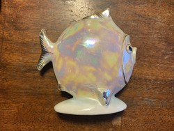 Drasche porcelain fish
