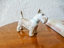 Aquincumi terrier porcelain dog