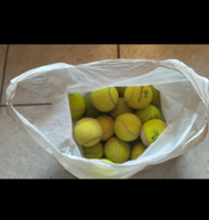 The price of a used tennis ball for a dog toy or to train is per piece.