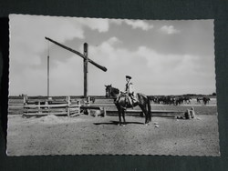 Postcard, hortobágy, with a striped horse, stud, barnyard