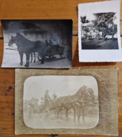 Three old photos of horse-drawn vehicles are for sale together. Carriage, cart, sleigh.