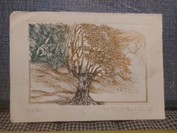 Margaret Bauer of Péceli etching