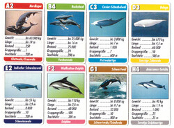 304. Whales and dolphins quartet 32 sheets around 1980 36 x 55 mm