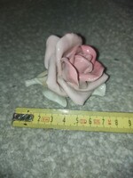 ENS rózsa