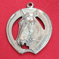 Horse pendant - for riders - with horseshoe