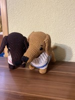 Dachshund dog with a crocheted hoodie