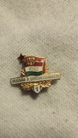 Youth for Socialism 1 - 1919 - 1957 - small badge