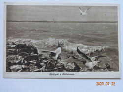 Old postage stamp postcard (monostory): seagulls on the beach
