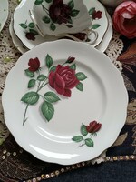 Red velvet English bone china pink breakfast dishes 4 pieces in one