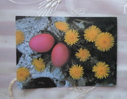 Old Easter postcard 21. (1981)