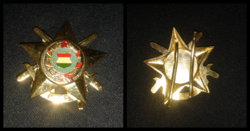 Ktp military decathlon gold grade badge