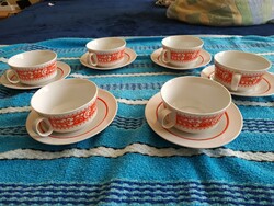 Retro lowland porcelain tea cup set for 6 people