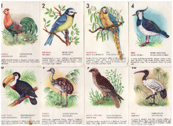 319. Birds quartet playing card factory around 1965 23 cards
