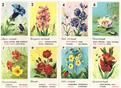 317. Field flowers quartet playing card factory around 1970 38 cards