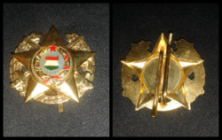 Ktp military gold crown decathlon badge
