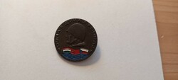 Danube military exercise 1985 Hungarian, Soviet Czechoslovak painted badge